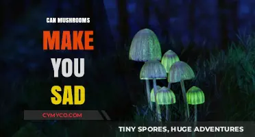 Exploring the Emotional Effects of Mushrooms: Can They Induce Sadness?