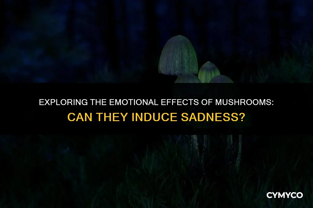 can mushrooms make you sad