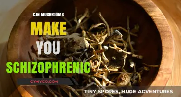 Exploring the Link: Mushrooms and Schizophrenia Risk