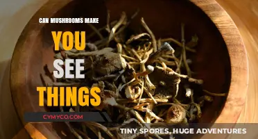 Exploring the Hallucinogenic Effects of Mushrooms: A Visual Journey
