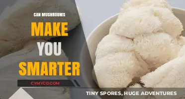 Exploring the Cognitive Benefits of Mushrooms: A Comprehensive Guide