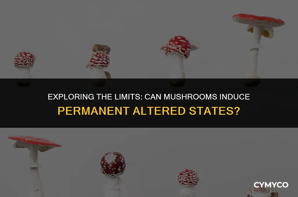 can mushrooms make you stay in a trip forever