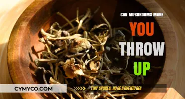 Exploring the Nausea-Inducing Effects of Certain Mushrooms