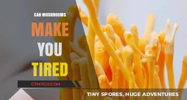 Exploring the Fatigue Factor: Do Mushrooms Cause Tiredness?