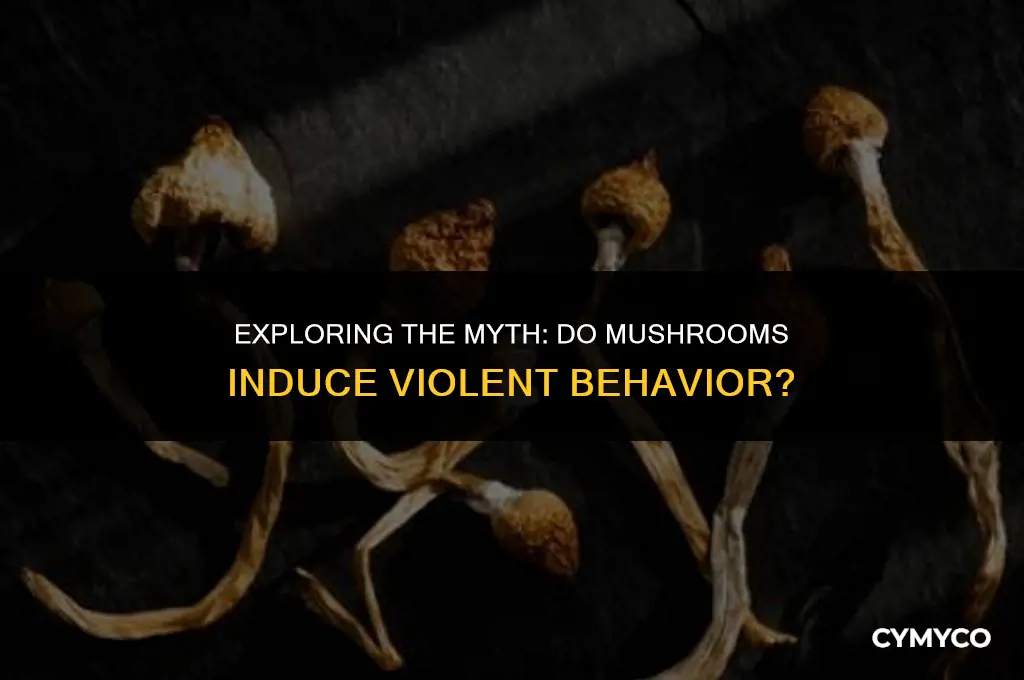 can mushrooms make you violent
