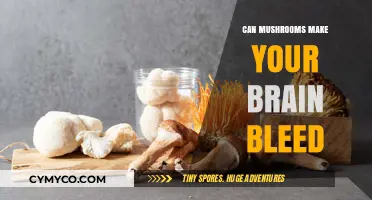 Exploring the Truth: Do Mushrooms Pose a Risk to Brain Health?