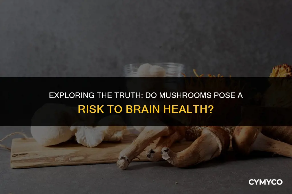 can mushrooms make your brain bleed