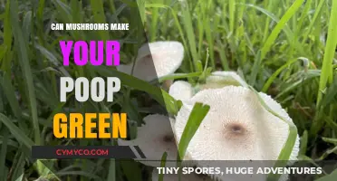 The Surprising Truth About Mushrooms and Green Poop