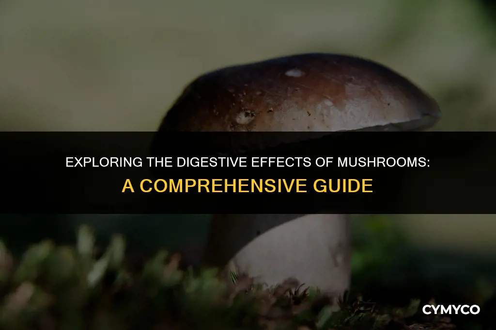 can mushrooms make your stomach upset