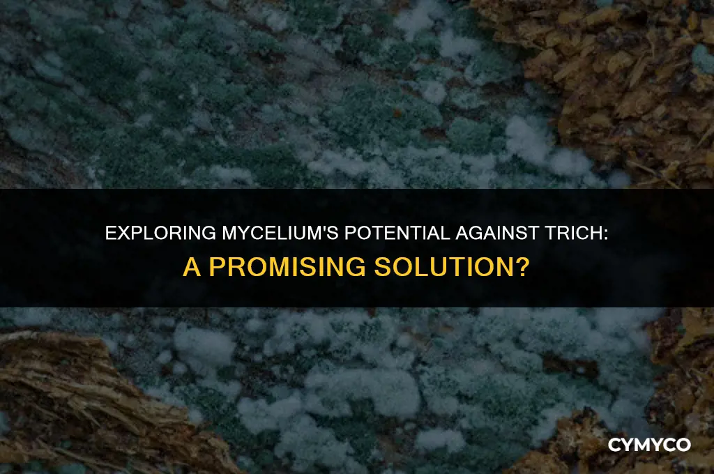 can mycelium beat trich