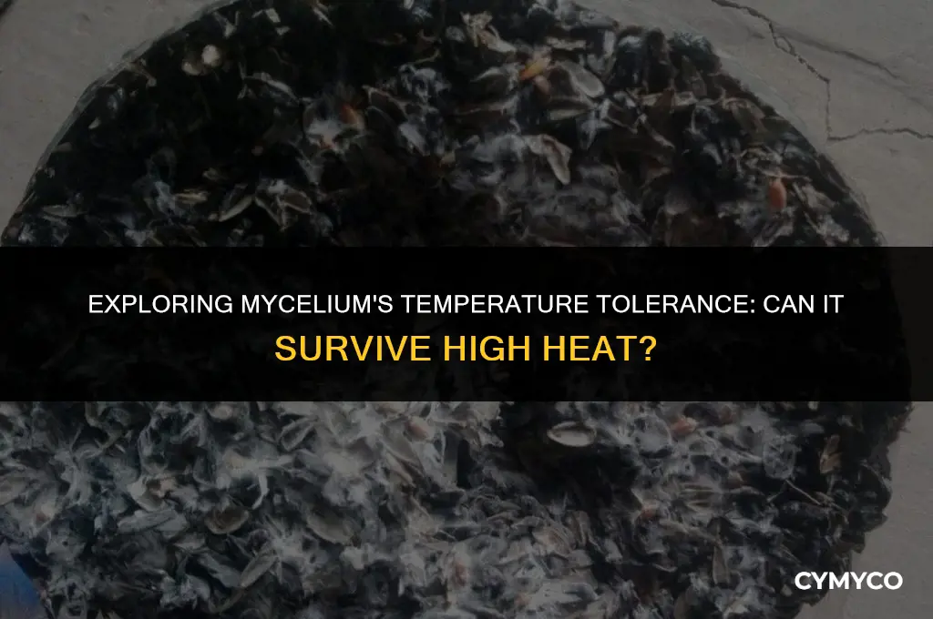 can mycelium die from high temperature