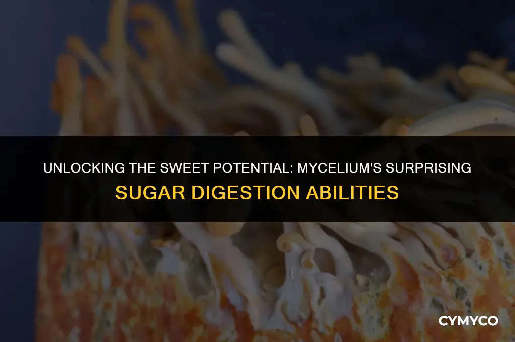 can mycelium digest table sugar