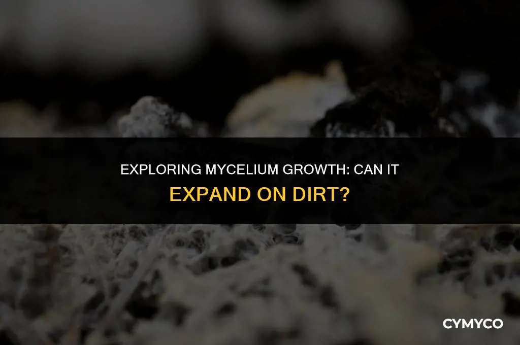 can mycelium expand on dirt
