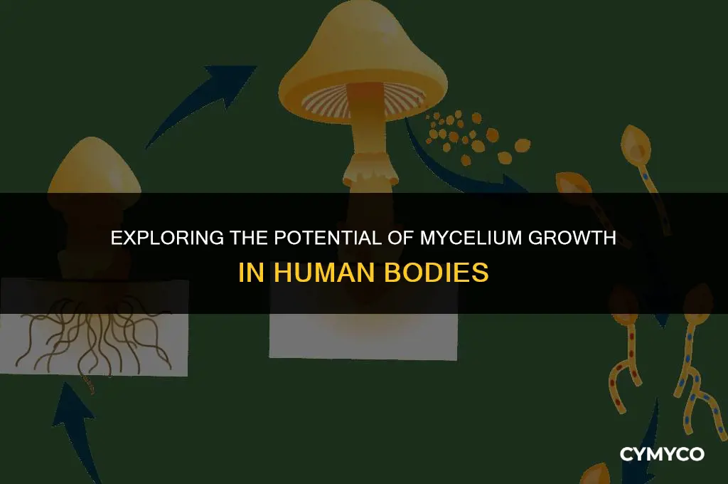 can mycelium grow in humans