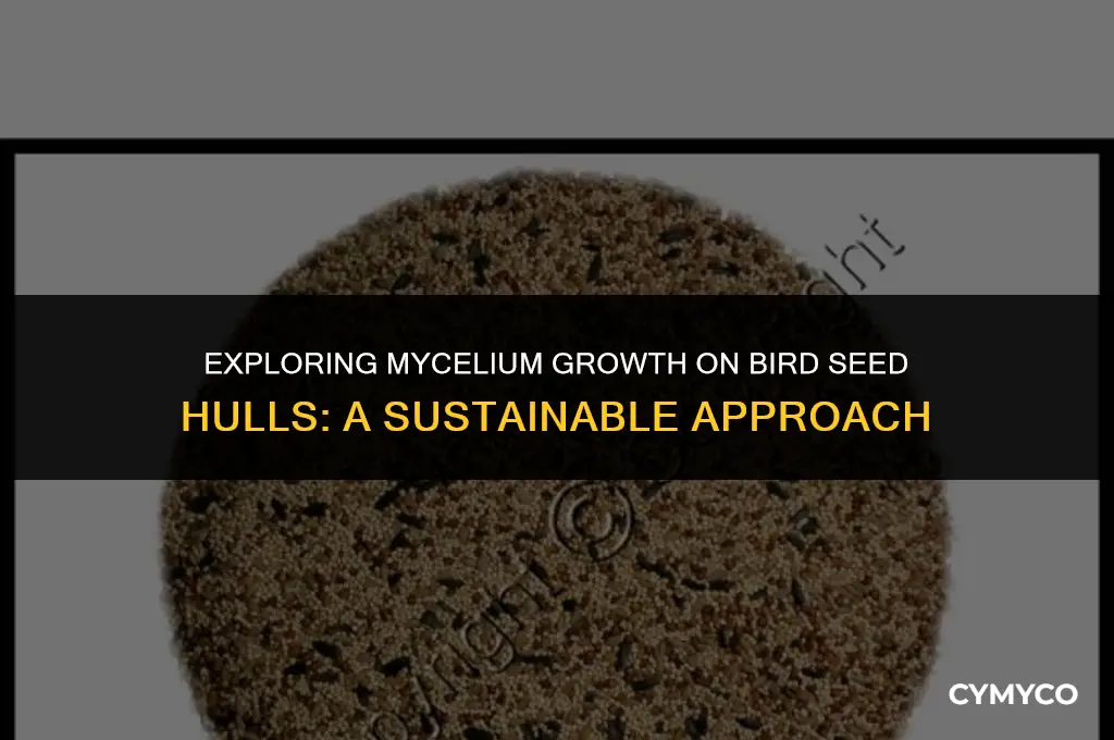 can mycelium grow on bird seed hulls