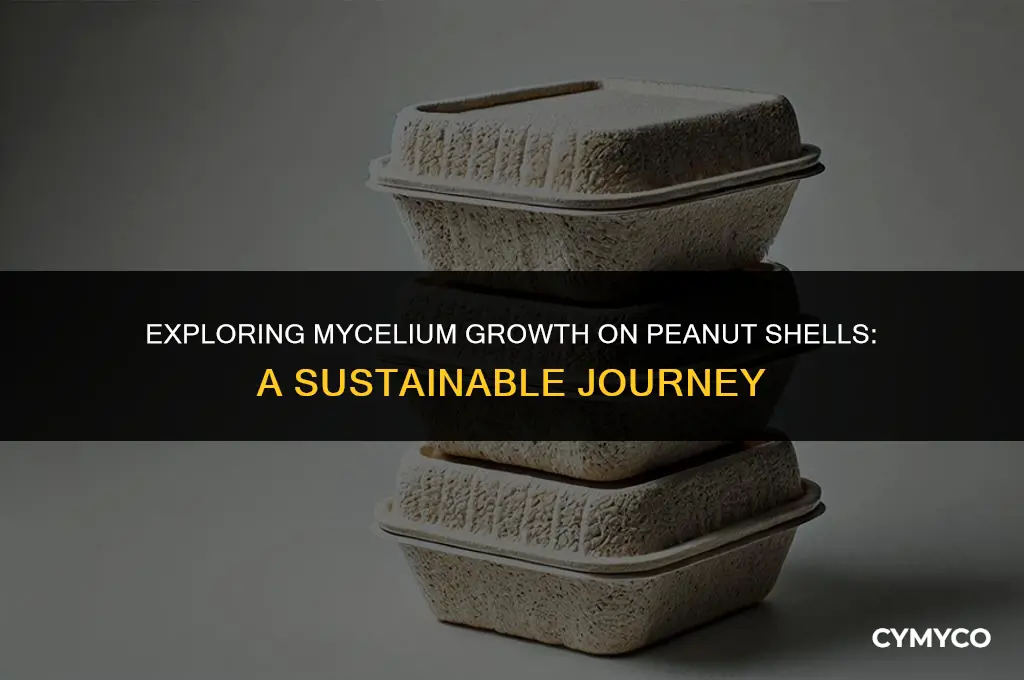 can mycelium grow on peanut shells