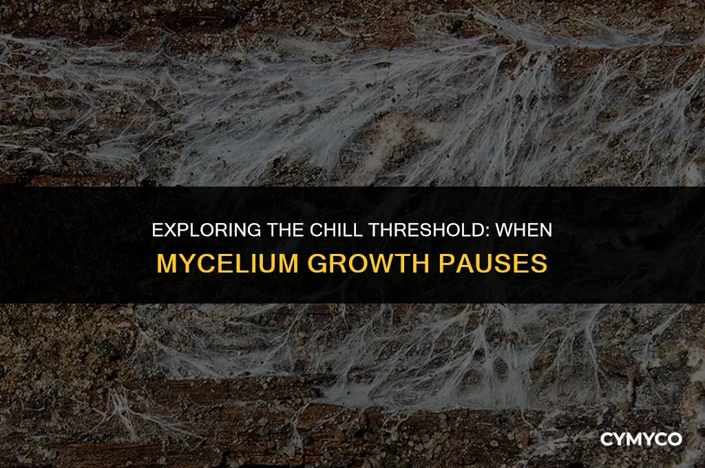 can mycelium growth stop too cold