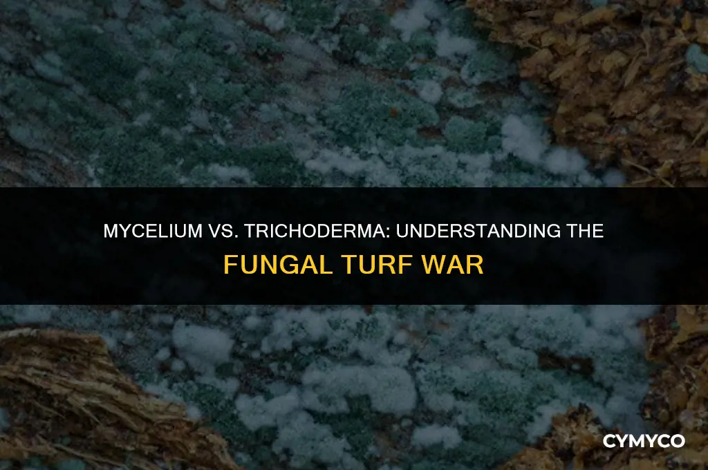 can mycelium kill trichoderma