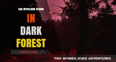 Exploring the Shadows: Mycelium's Mysterious Life in Dark Forests