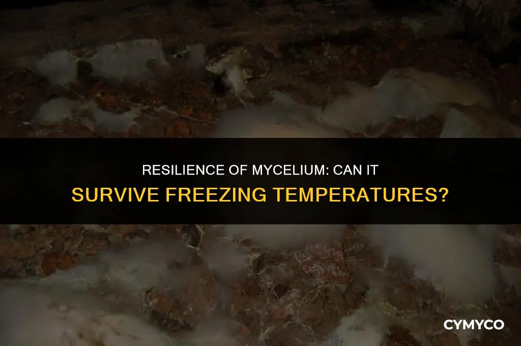 can mycelium survive freezing
