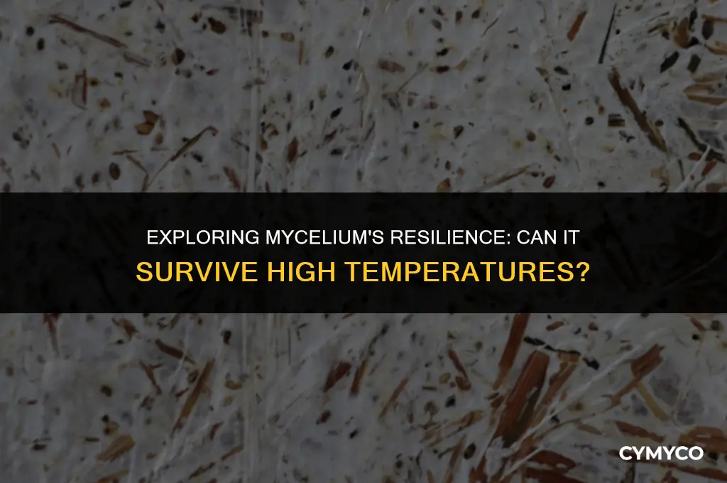 can mycelium survive heat