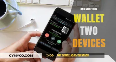 Syncing Mycelium Wallets Across Two Devices: A Comprehensive Guide