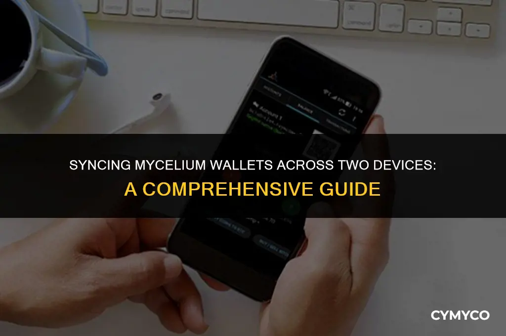 can mycelium wallet two devices
