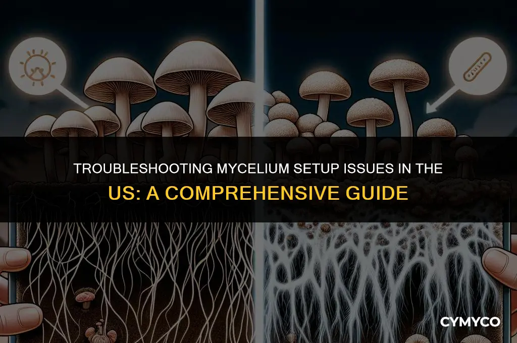 can not set up mycelium from us