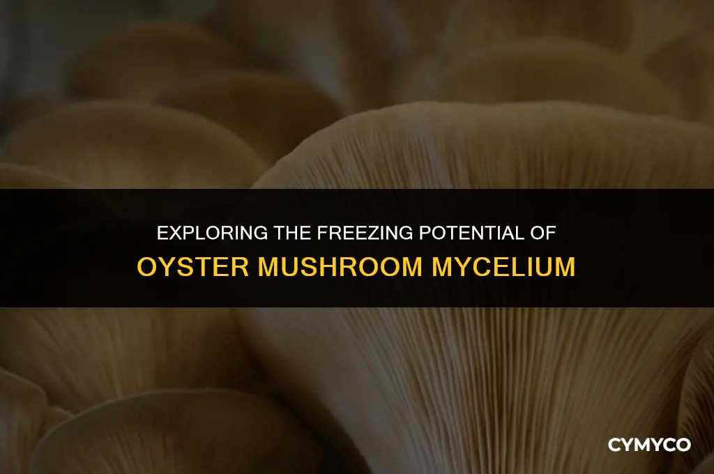 can oyster mushorom mycelium be frzon