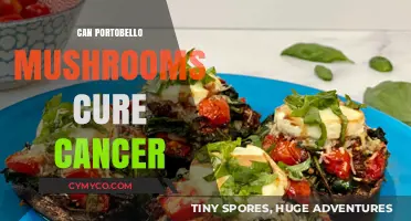 Exploring the Anticancer Potential of Portobello Mushrooms