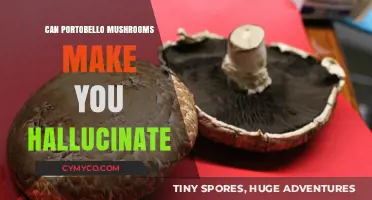 Exploring the Hallucinogenic Potential of Portobello Mushrooms