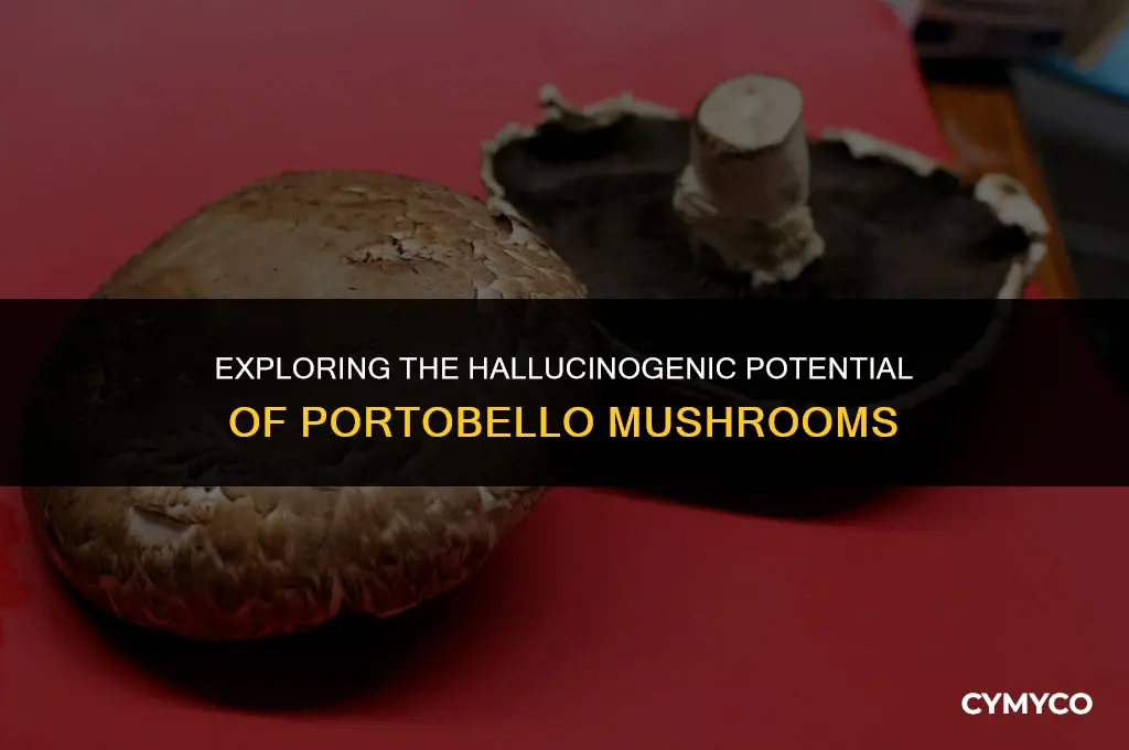 can portobello mushrooms make you hallucinate