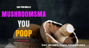 Exploring the Digestive Effects of Portobello Mushrooms