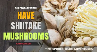 Exploring the Safety of Shiitake Mushrooms for Pregnant Women