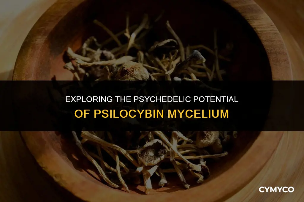 can pslicibin mycelium make you trip