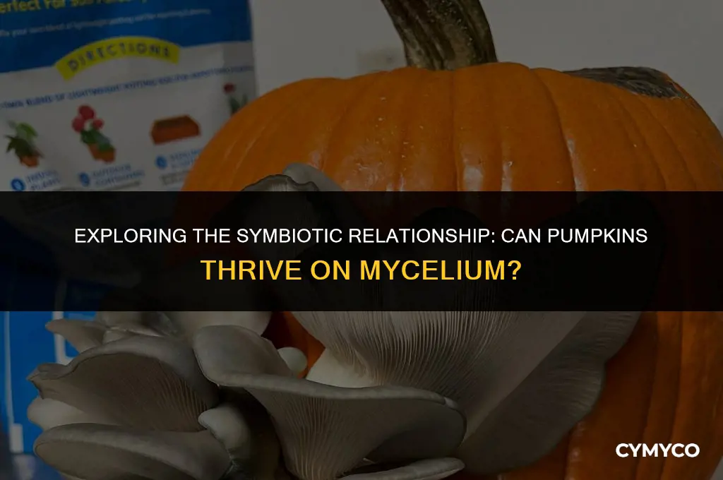 can pumpkins grow on mycelium