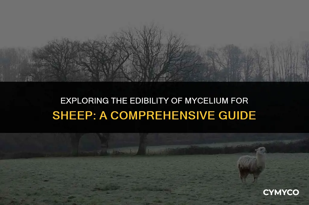 can sheep eat mycelium