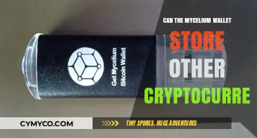 Exploring Mycelium Wallet's Potential for Multi-Crypto Storage