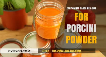 Tomato Sauce as a Porcini Powder Substitute: A Flavorful Alternative?