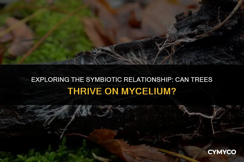 can trees grow on mycelium