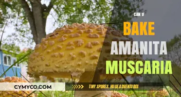 Exploring the Edibility of Amanita Muscaria: A Comprehensive Guide