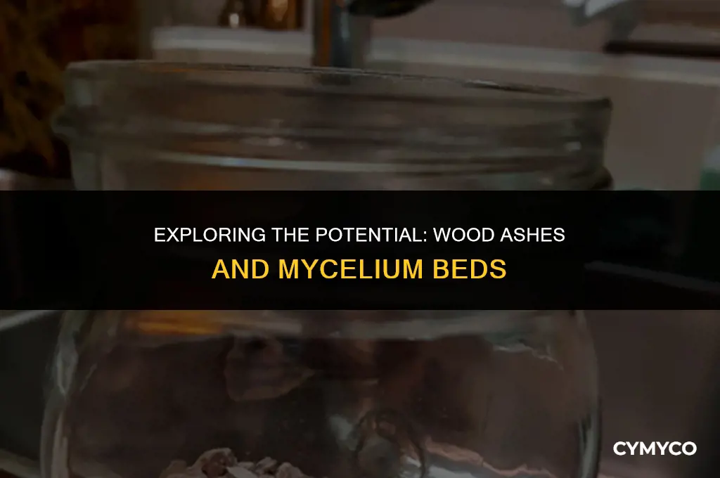 can wood ashes start a mycelium bed