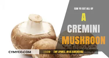Can You Eat the Entire Cremini Mushroom? A Complete Guide