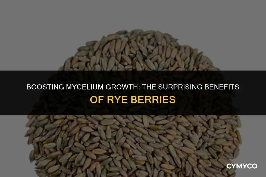 can you add rye berries to colonize more mycelium