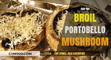Savor the Flavor: Broiling Portobello Mushrooms to Perfection