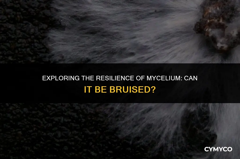 can you bruise mycelium