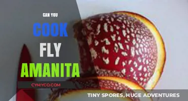 Exploring the Culinary Potential of Fly Amanita: A Daring Adventure