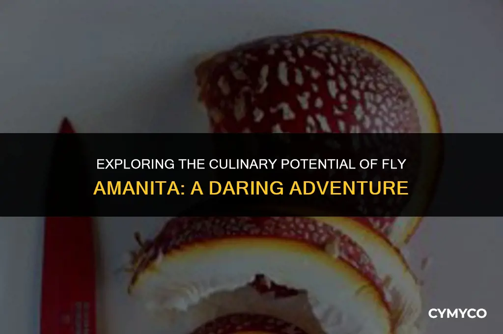 can you cook fly amanita