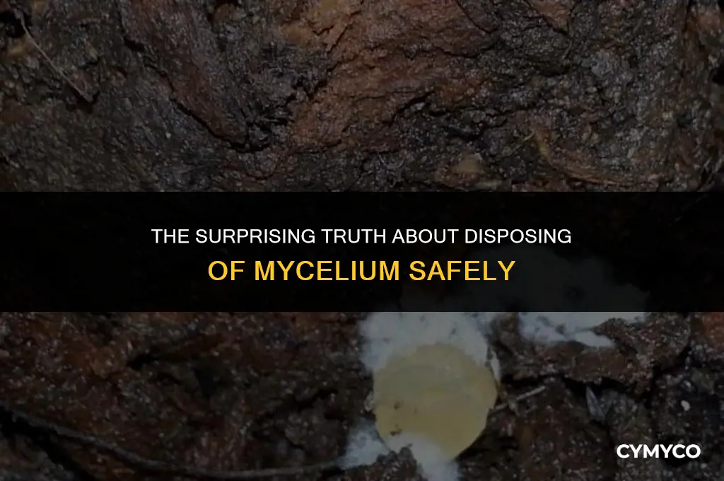 can you dumb mycelium down the drain
