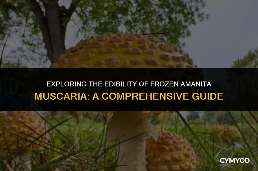 can you eat a frozen amanita mascaria